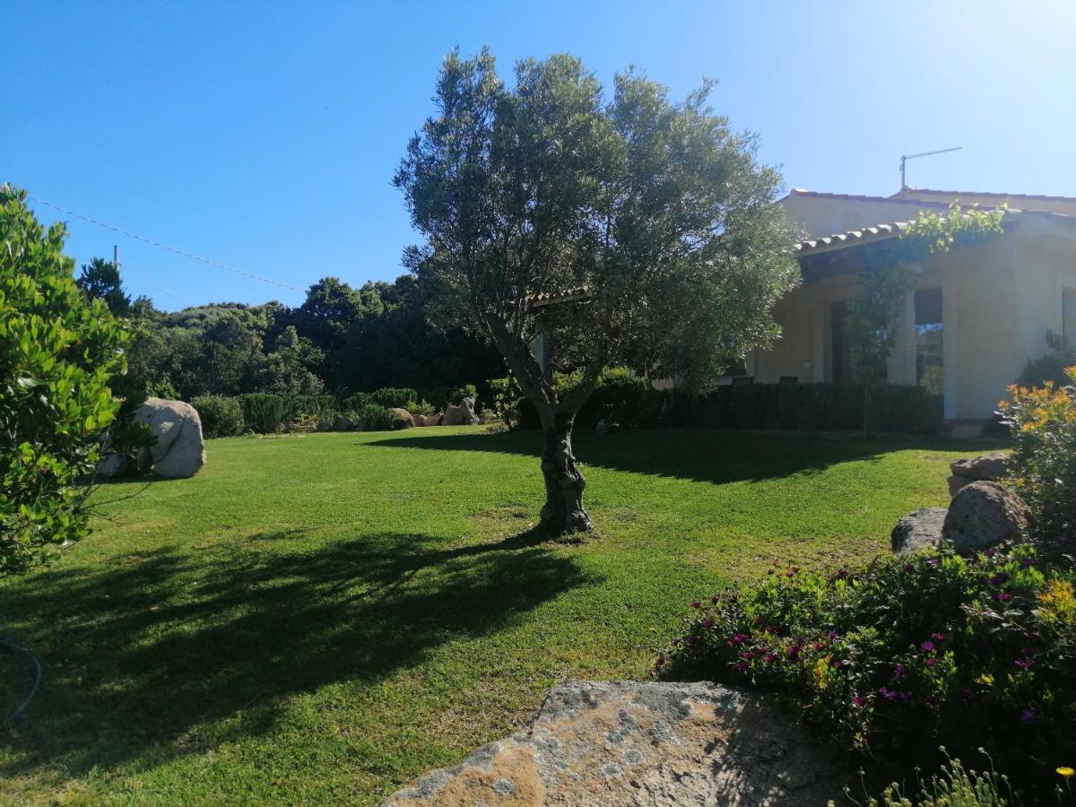 Agriturismo Fioredda Aglientu Exterior foto